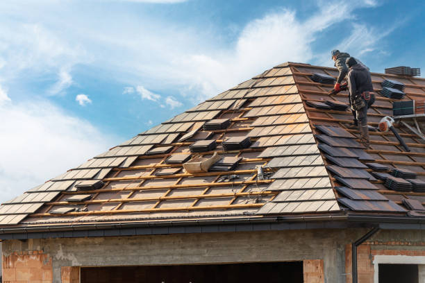 Best Storm Damage Roof Repair  in Sparta, MI