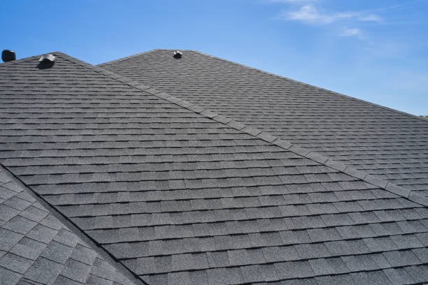 Best Roof Maintenance  in Sparta, MI